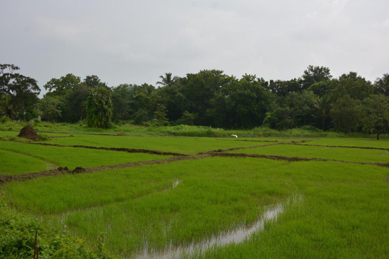 Monaara Leisure - Anuradhapura Buitenkant foto